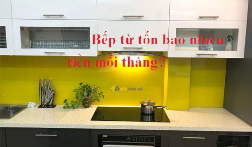 Sử dụng bếp từ đôi có tốn điện hay không ?