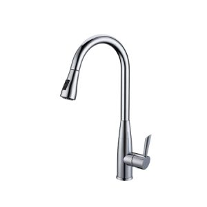 Vòi rửa bát Roslerer RL-268