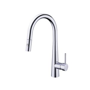 Vòi rửa bát Roslerer RL-968